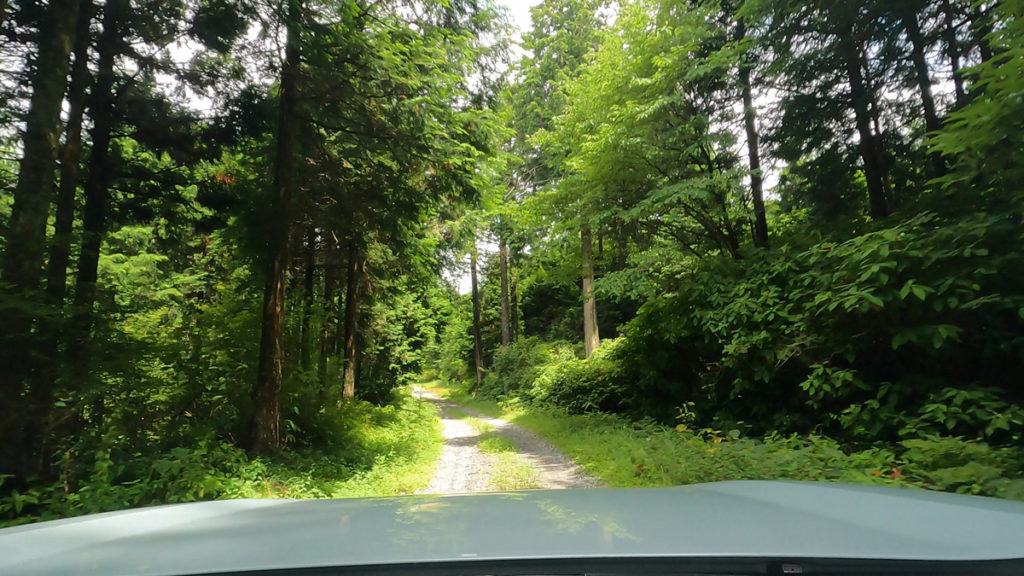 林道笹塚線のダート